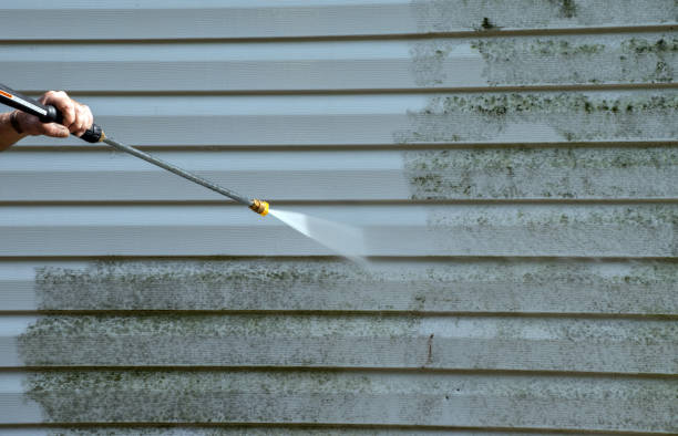 Professional Pressure Washing Services in Elk Grove Village, IL